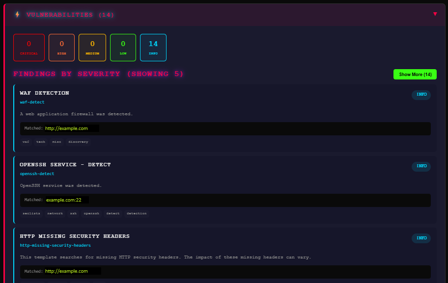 Vulnerability findings with severity ratings
